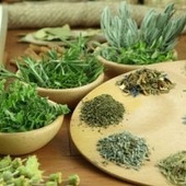 花粉症の季節到来!ハーブを使ったナチュラルなケア