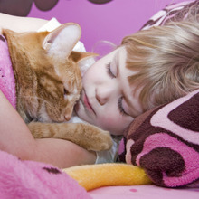 意外と知らないかも?猫が安心する持ち方や触ると気持ちよい部分とは