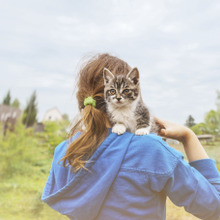猫になりたい…けど眠っちゃダメ!これは試したい眠気を解消する方法