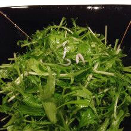 サラダスピナーなしでも野菜の水切りができちゃいます!