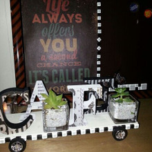 男前なカフェインテリアにも多肉ちゃんを!