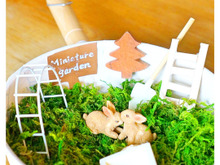 100均お鍋で作る!世界に1つの箱庭(miniature garden)