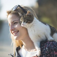 猫の鼻が乾いてるのはリラックスしてる証拠?猫の気持ちを教えます♪