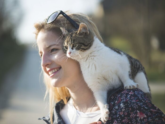 猫の鼻が乾いてるのはリラックスしてる証拠?猫の気持ちを教えます♪