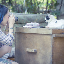 プロみたいな写真を撮りたい!猫をより可愛く写す3つの方法