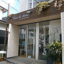 マッシュ君に会えるかも?代官山で猫好きが行くべきお店はこの2つ♪