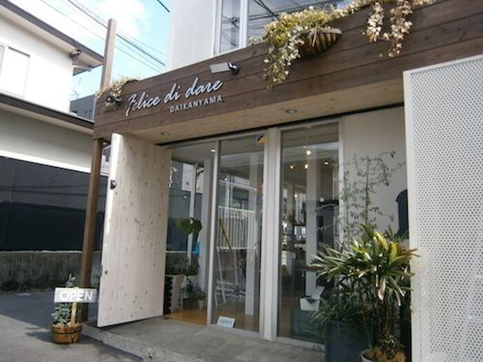 マッシュ君に会えるかも?代官山で猫好きが行くべきお店はこの2つ♪