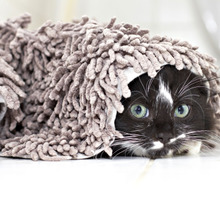 猫の粗相!『おしっこくさい』を解決する3つの掃除方法~後編~