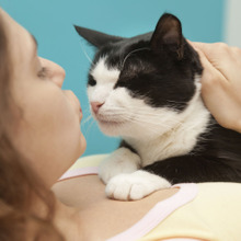 猫になつかれる人になろう!猫が好きな人間の3つの特徴