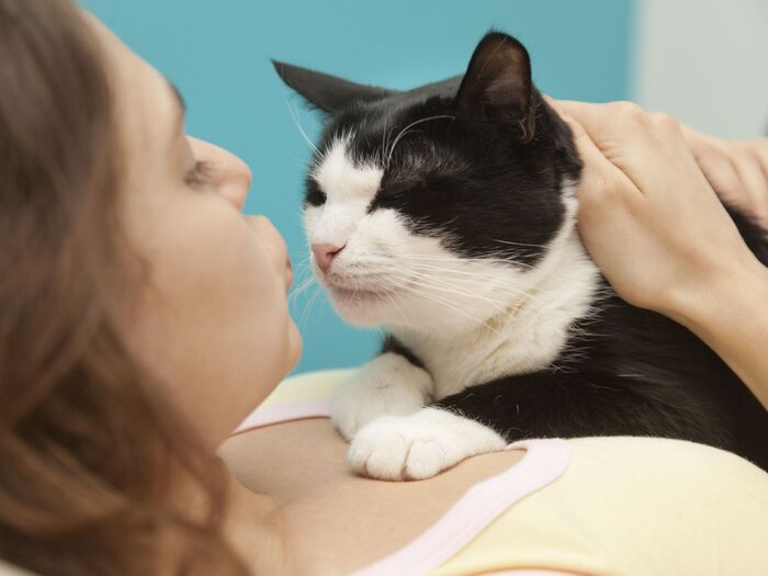 猫になつかれる人になろう!猫が好きな人間の3つの特徴