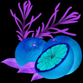 日焼けをブロックできる?! 意外なハーブと柑橘類のパワー