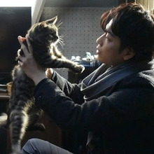 猫のレタスといえば?『世界から猫が消えたなら』完成披露試写会が決定!