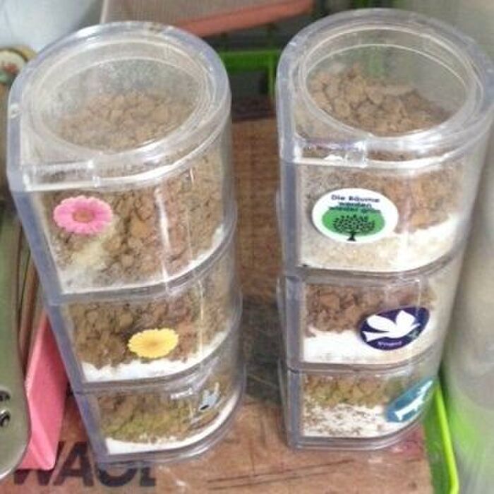 ささっと!インスタントコーヒー派の、1杯分キャニスター