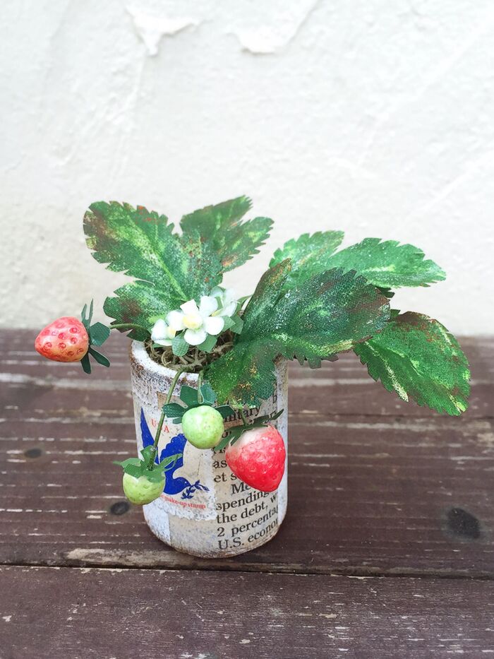 鉢植え1