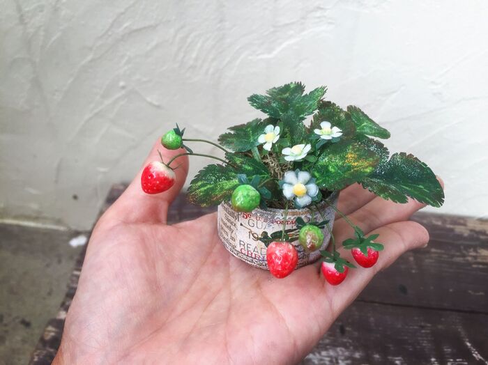 鉢植え3
