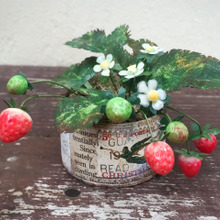 100均樹脂粘土と○○でミニイチゴの鉢植え!