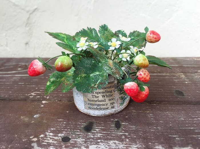 鉢植え2