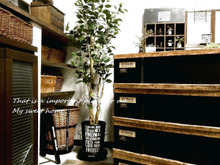 ダサい衣装ケースも一気に男前リメイク ♪