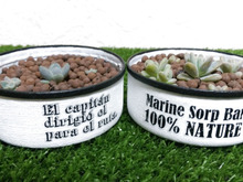 多肉植物に~ツナ缶でリメ缶♪