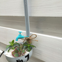 100均ガーデニング雑貨をアレンジ!多肉植物を飾ろう♪