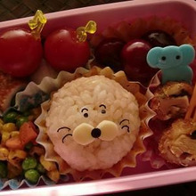 簡単★ライオンのデコおにぎり♪