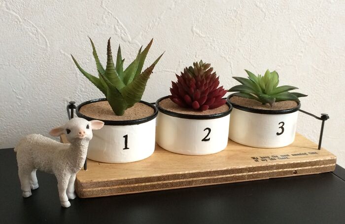 100均多肉を男前リメイク