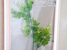 下敷きとフォトフレームで簡単!100均フェイクグリーンのインテリアフレーム