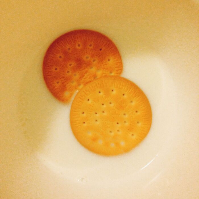 ③ビスケットを牛乳にひたす