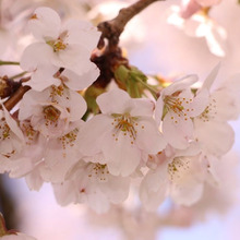 おうちサロンOPENしました☆