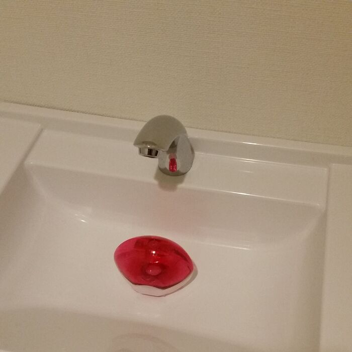 【簡単】トイレの洗浄剤をグリーンで隠す!