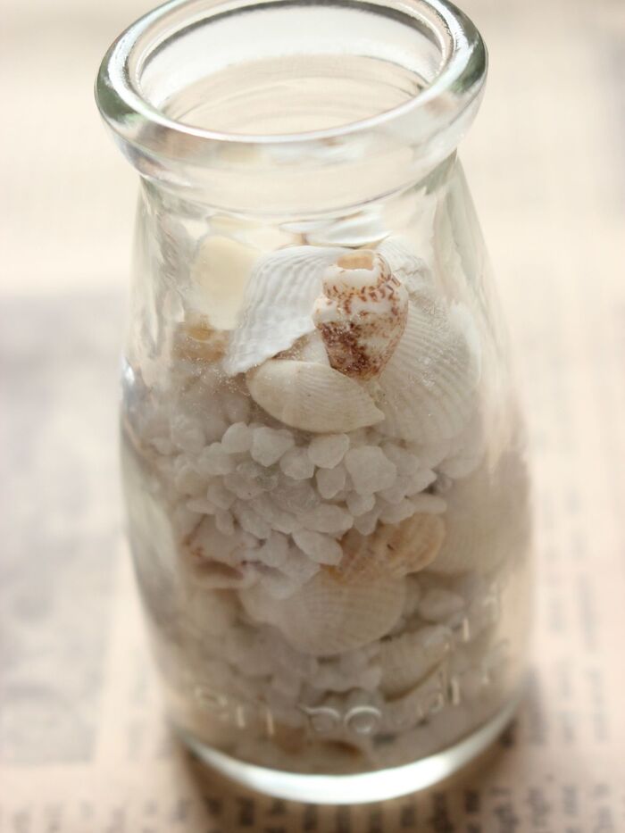 テラリウムの作り方②