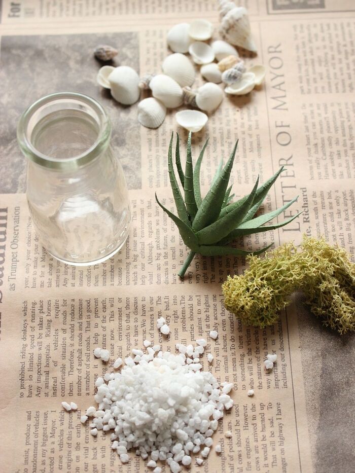 テラリウムの材料