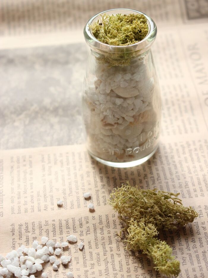 テラリウムの作り方③