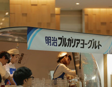 5月13日〜15日はおいしい&ヘルシーなヨーグルトの旅へ
