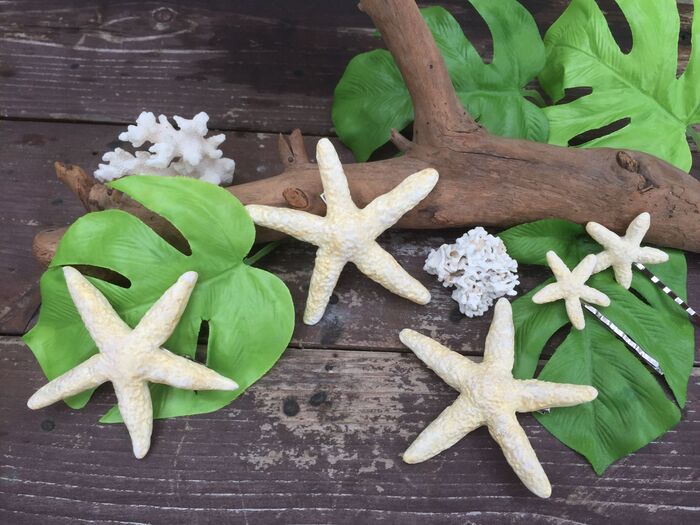 粘土で簡単手作り!スターフィッシュ☆ヘアクリップ