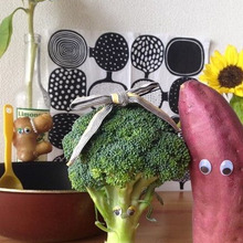 ライフショウガナイサーの生姜ナイサです。