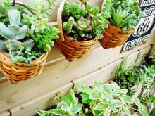 特集 ステキなアイデアを暮らしニスタ編集部でまとめさせて頂きました。