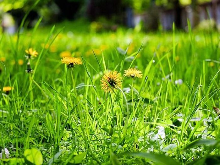 春はうつ病に注意? 症状と気をつけること