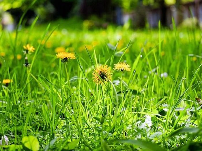 春はうつ病に注意？　症状と気をつけること