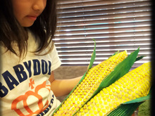 工作!トウモロコシを作ろう〜!