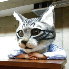 猫の頭をリアルに作る!猫人形作家佐藤法雪のクオリティが凄すぎる!