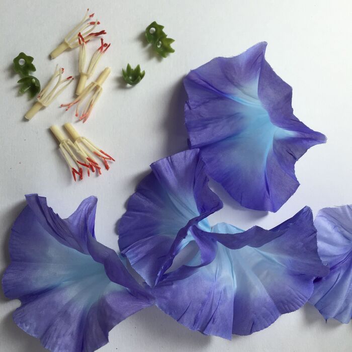 お花をバラす