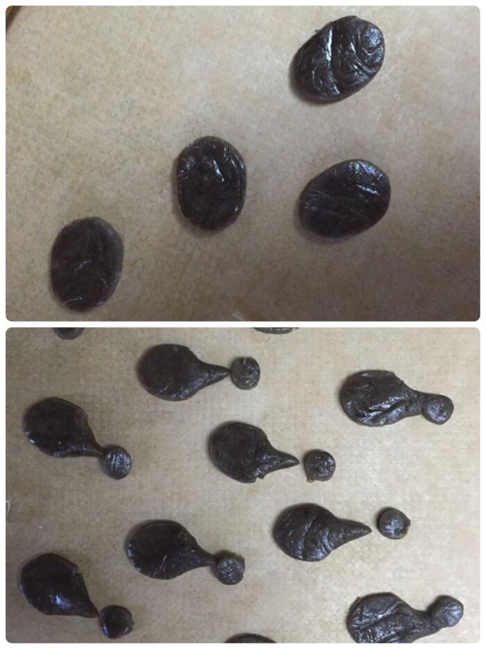 おたまじゃくし