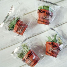 無地の紙コップで簡単アレンジ!可愛い植木鉢風ラッピング♪♪