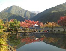 初夏~夏休みまで!子連れ家族で楽しめる静岡市観光スポット:【オクシズ=奥の静岡】