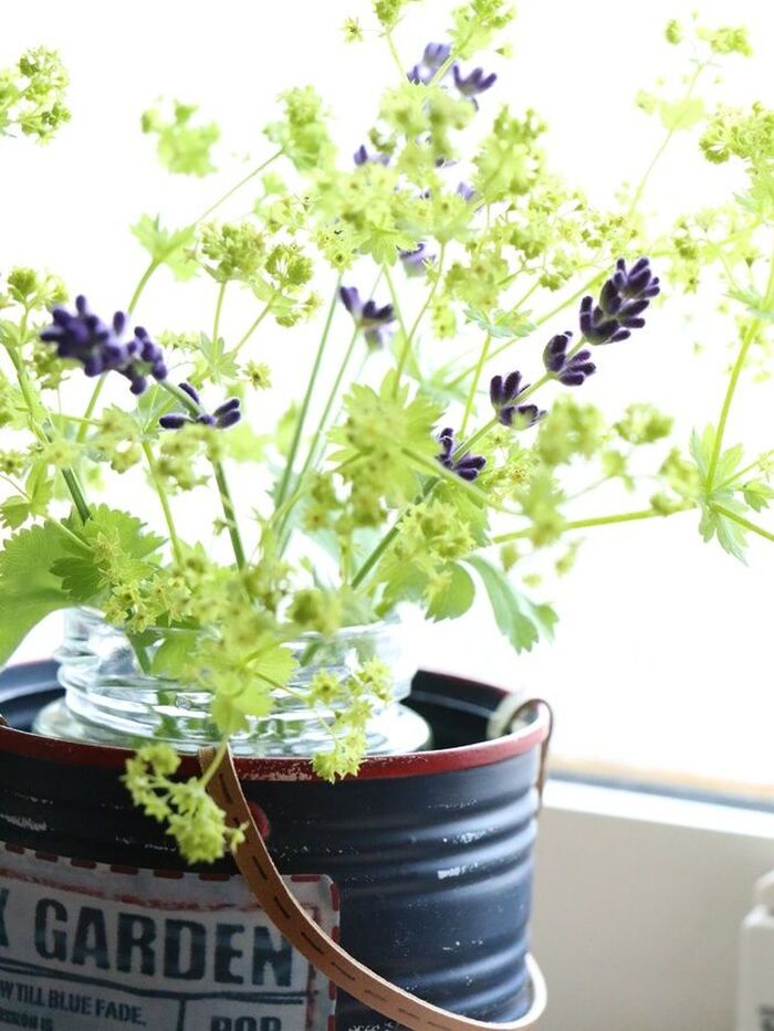 お庭のお花でおもてなし