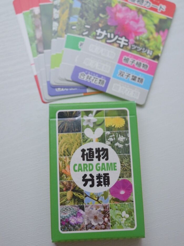 植物分類カード