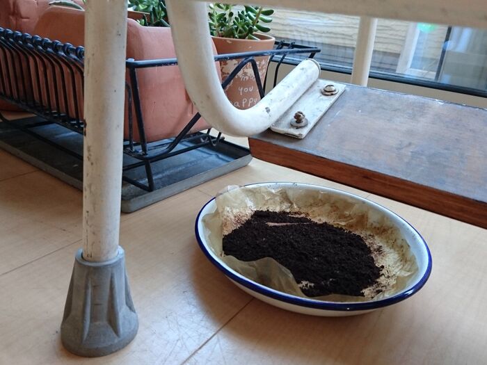 コーヒーかすをさらさらに乾燥させます
