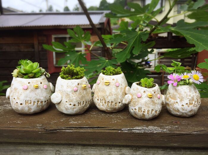 植える〜