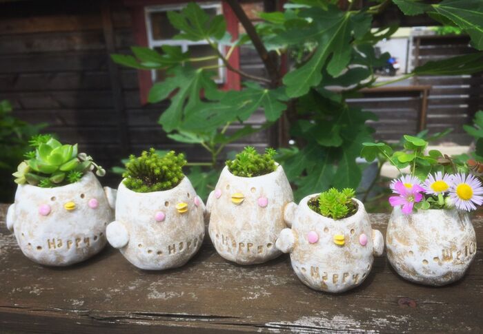 陶器粘土で雑草も可愛く♡卵鳥さん鉢の作り方!